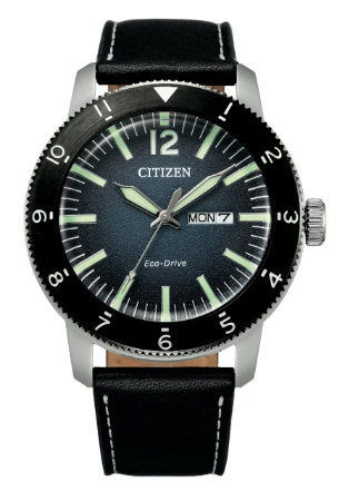 citizen aw0077