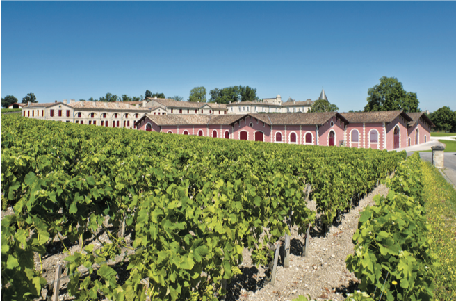 magnificent view from the chateau in the wine-producing village of Pauillac in the Médoc region (Francois Poincet)