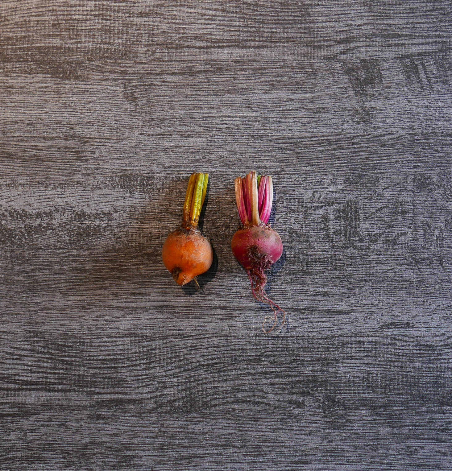 糖果甜菜根 (紅/黃）