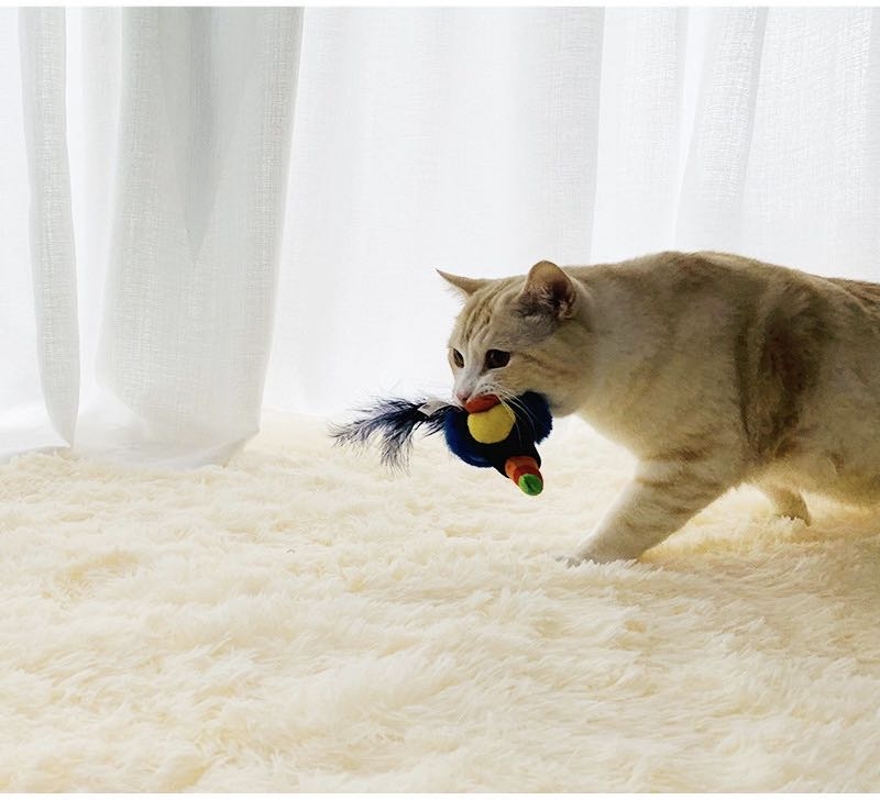 GIGWI - Melody Chaser炫律仿真聲巨嘴鳥