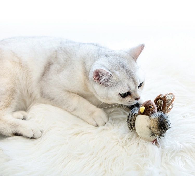 GIGWI - Melody Chaser炫律仿真聲小鳥