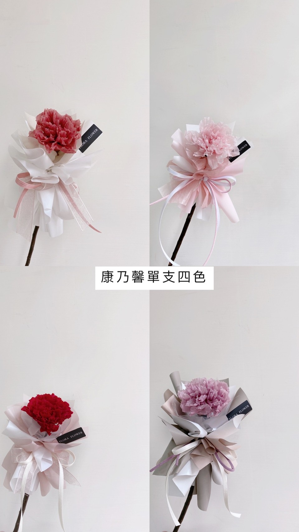 單枝永生康乃馨-四色