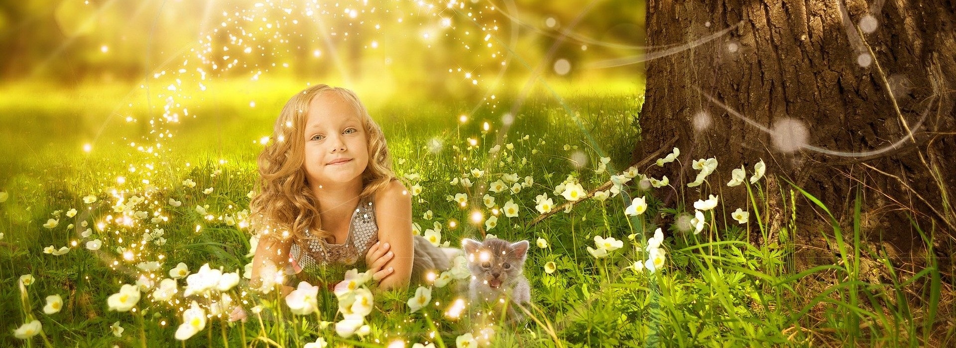 內在小孩花精認證課程