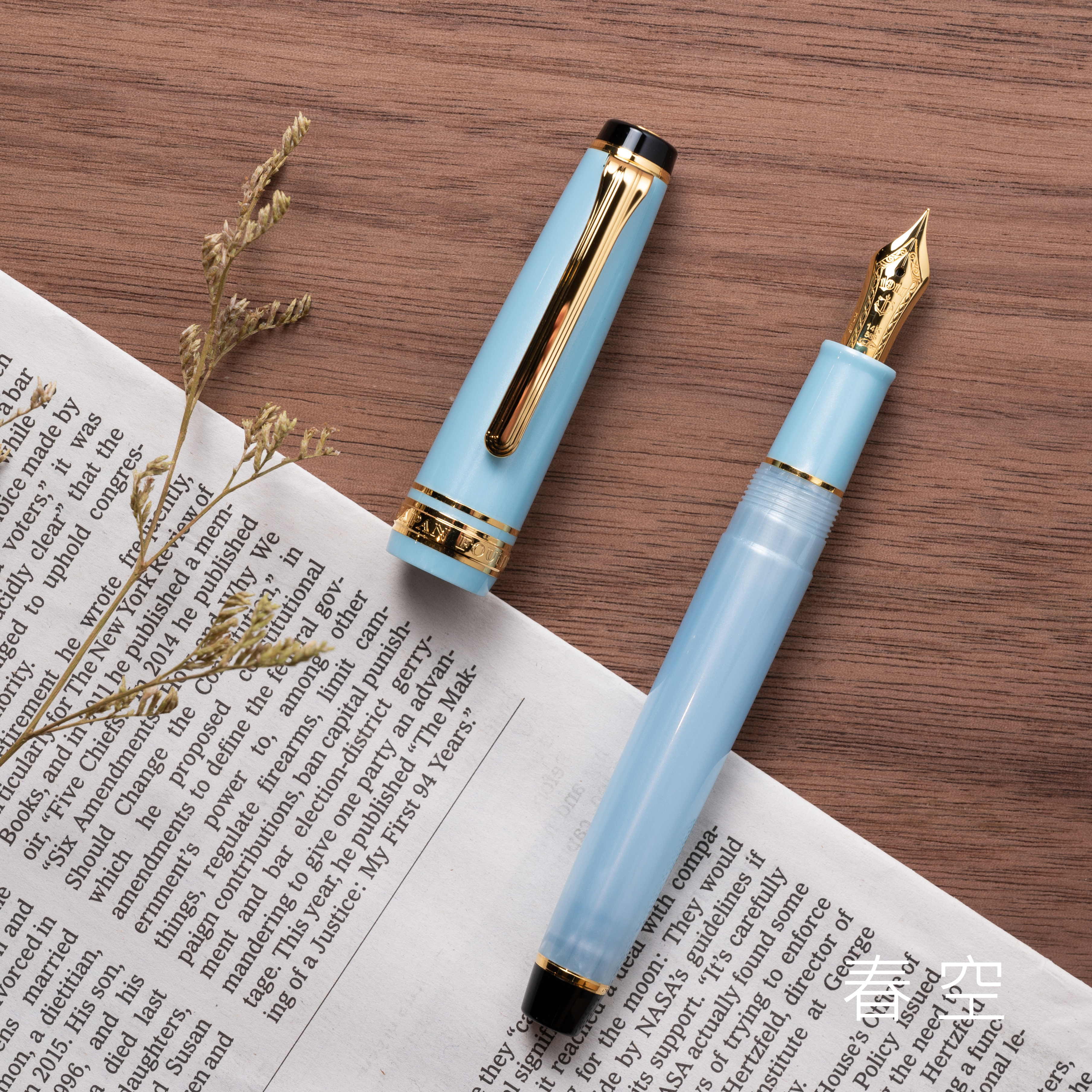 寫樂 Sailor｜SHIKIORI 四季織一代  PG 14K金尖鋼筆