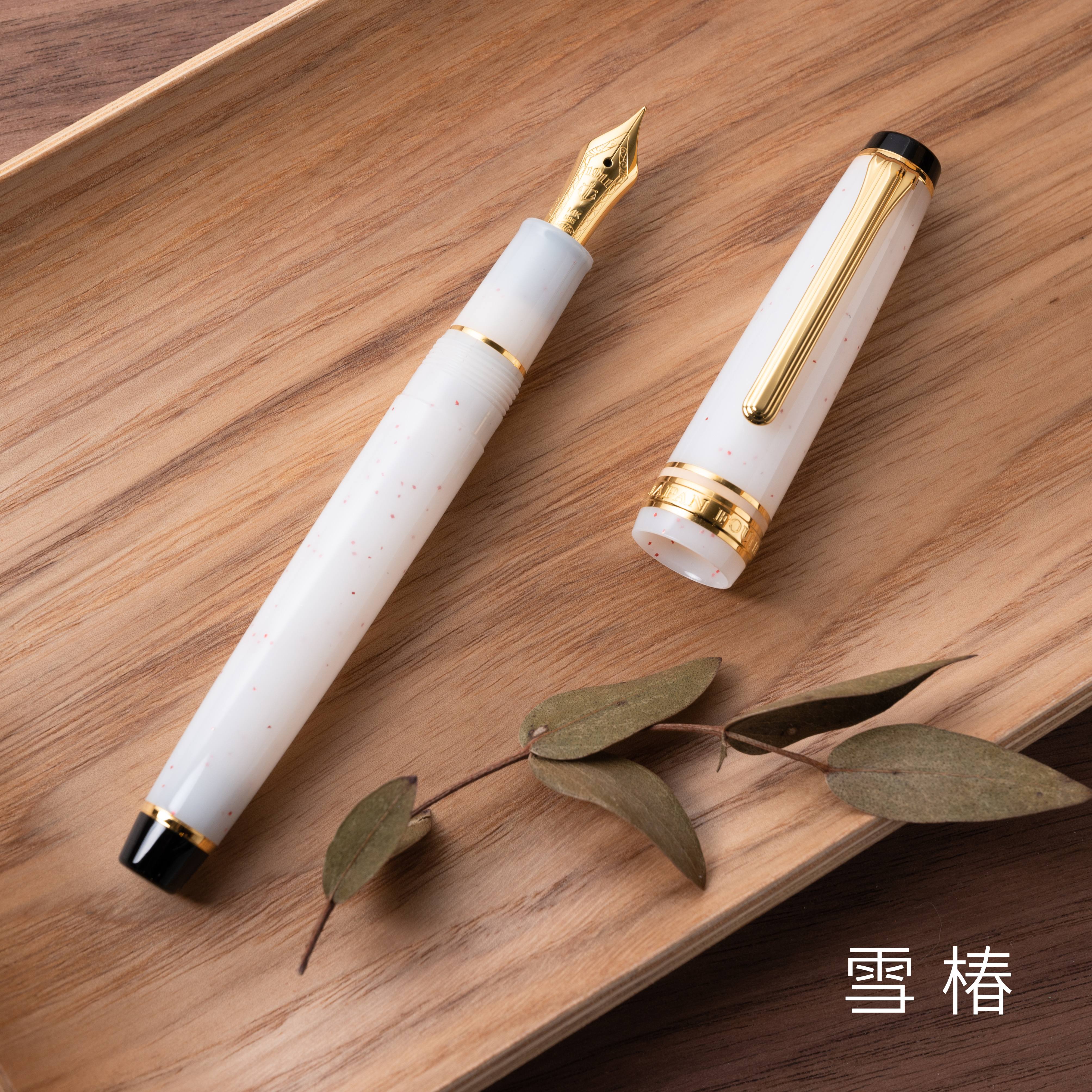 寫樂 Sailor｜SHIKIORI 四季織一代  PG 14K金尖鋼筆