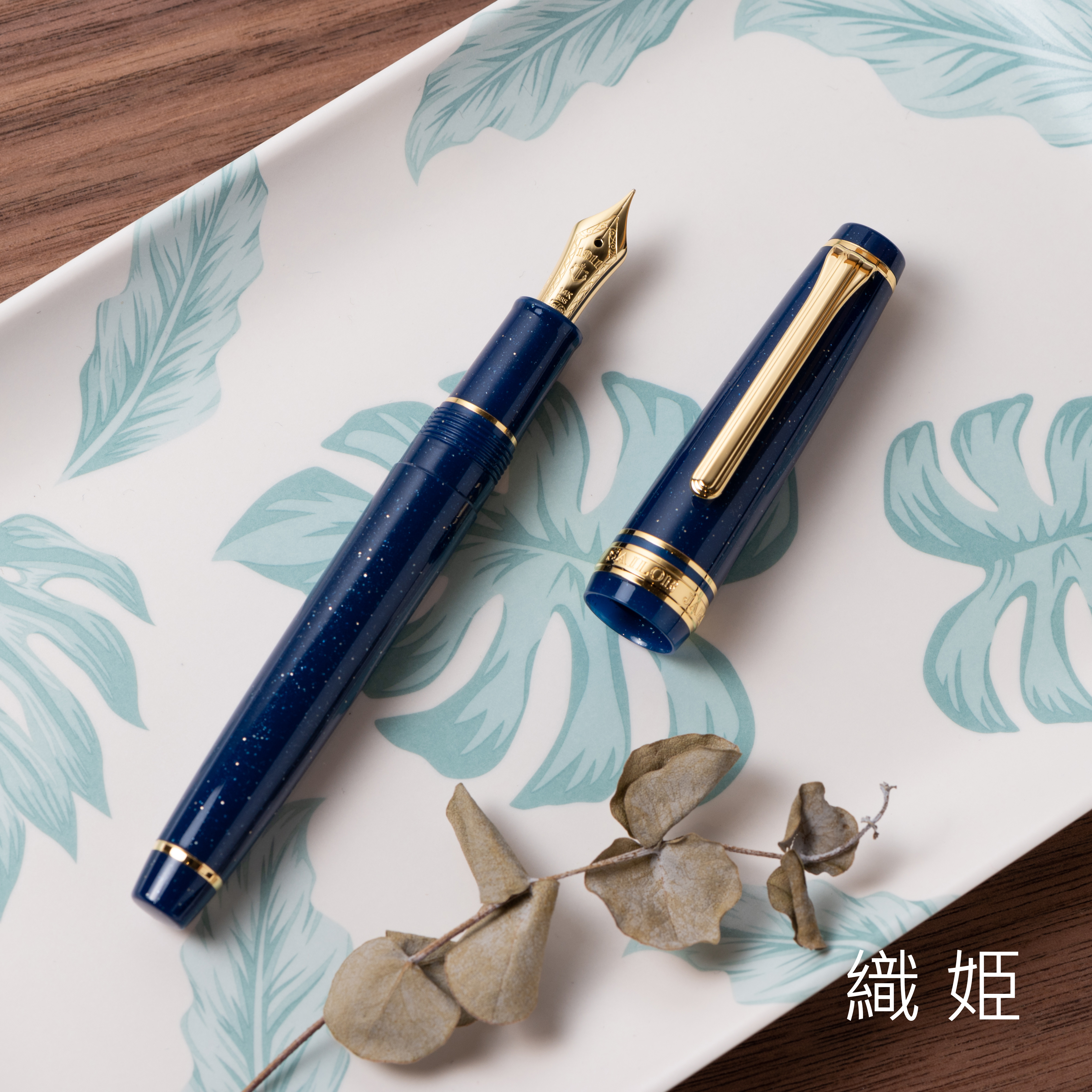 寫樂 Sailor｜SHIKIORI 四季織二代 民間故事系列 PG 14K金尖鋼筆