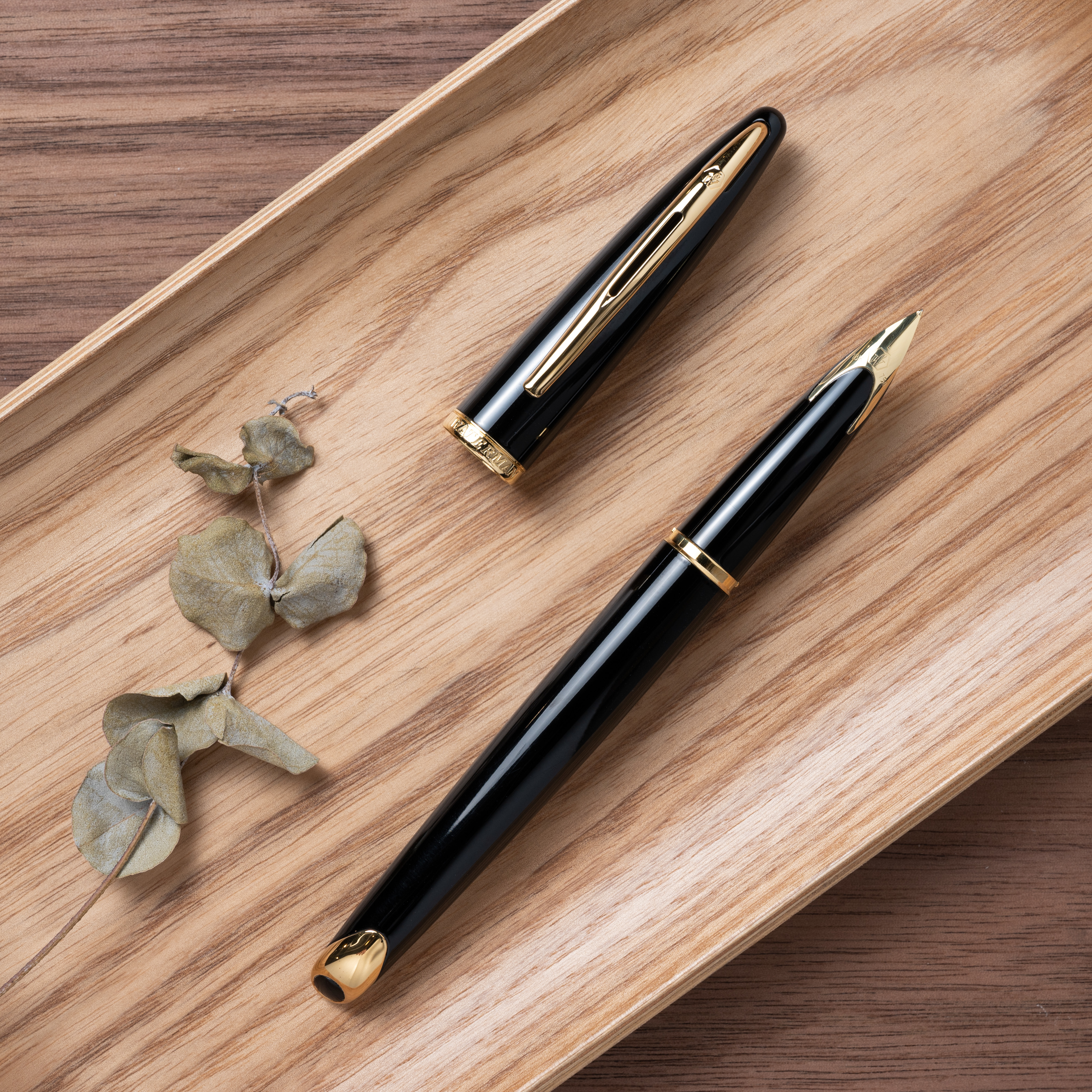 Waterman｜海洋18K金尖鋼筆 黑桿金夾