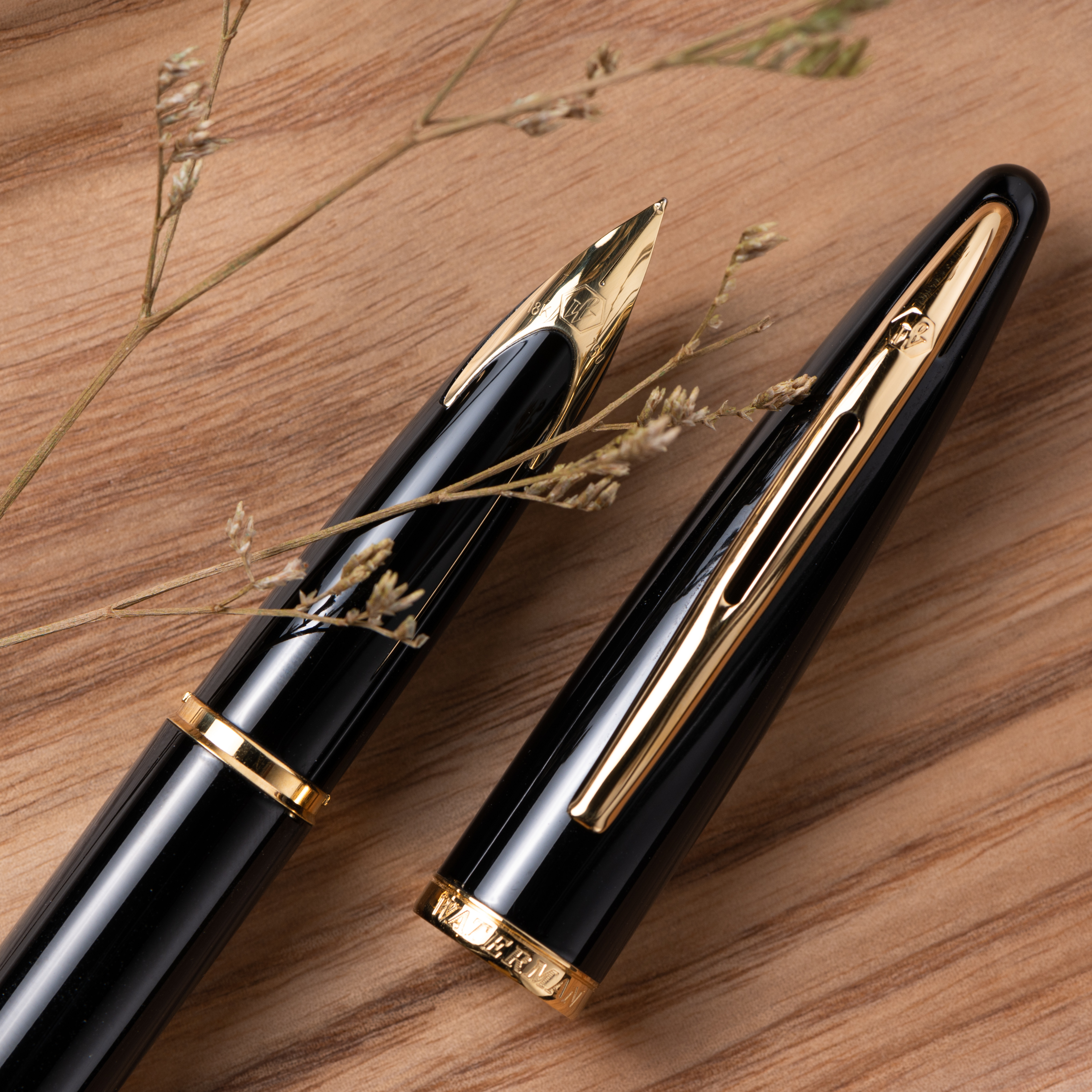 Waterman｜海洋18K金尖鋼筆 黑桿金夾