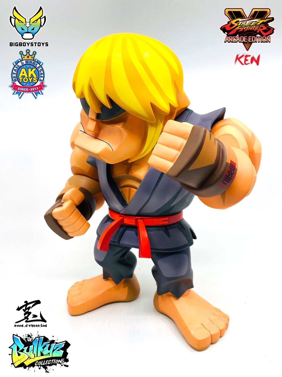 AKTOYS exclusive Bulkyz Collection – Street Fighter 5 K