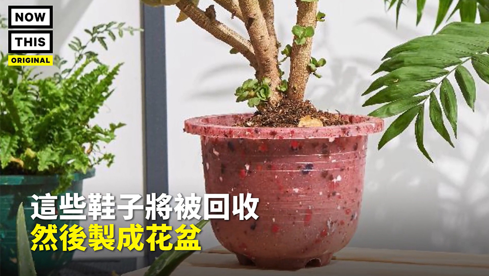 NowThis 新聞｜廢鞋變花盆! 台灣兄弟幫鞋子想好出路