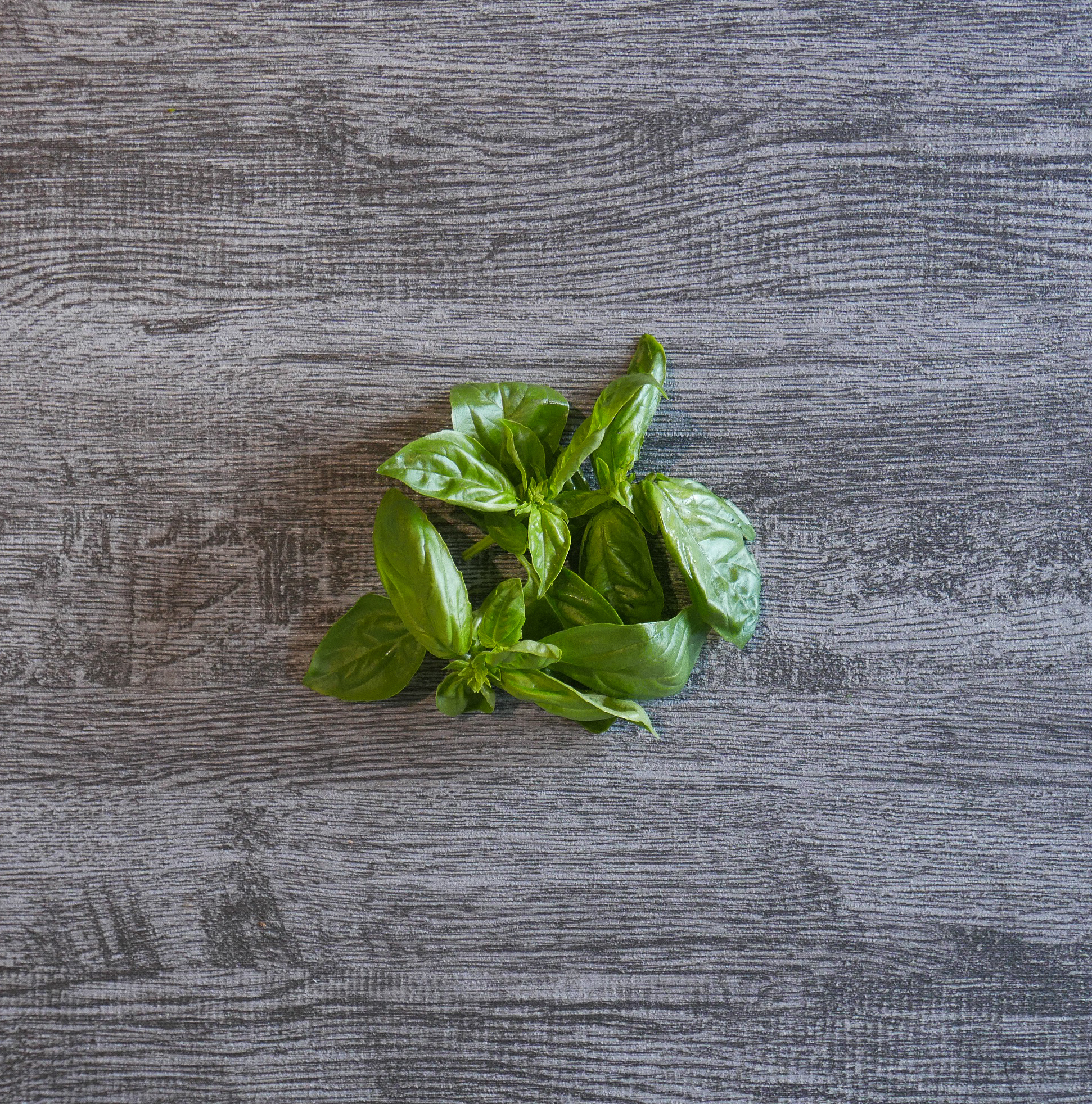 甜羅勒_迷你份量50g