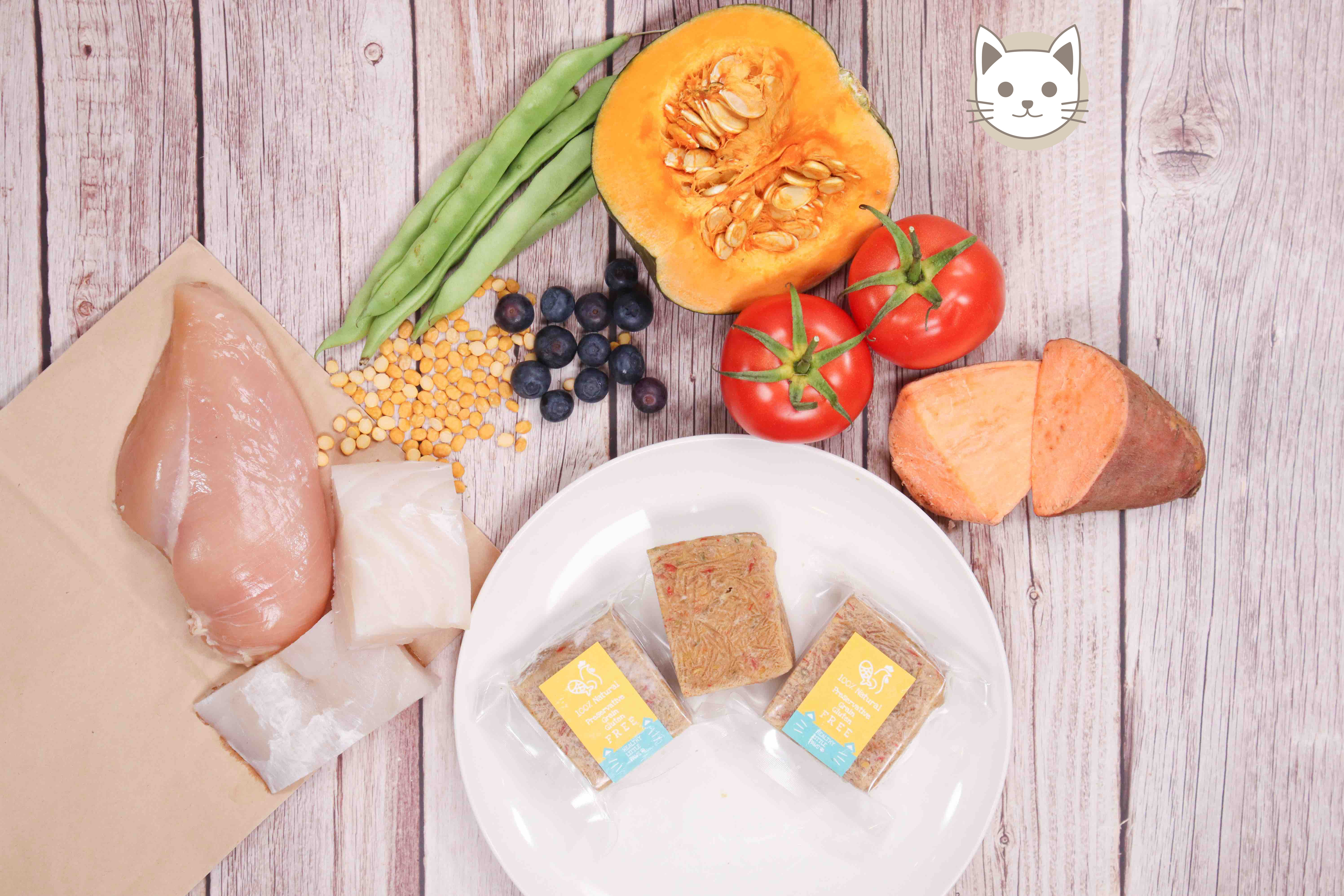 貓貓 - 雞肉&魚肉 / 鮮食磚