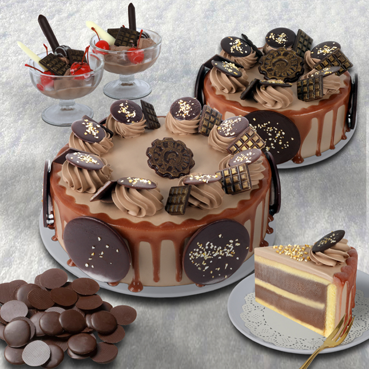 Chocolate Ice Cream Cake