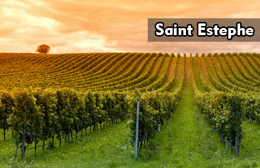Saint Estephe