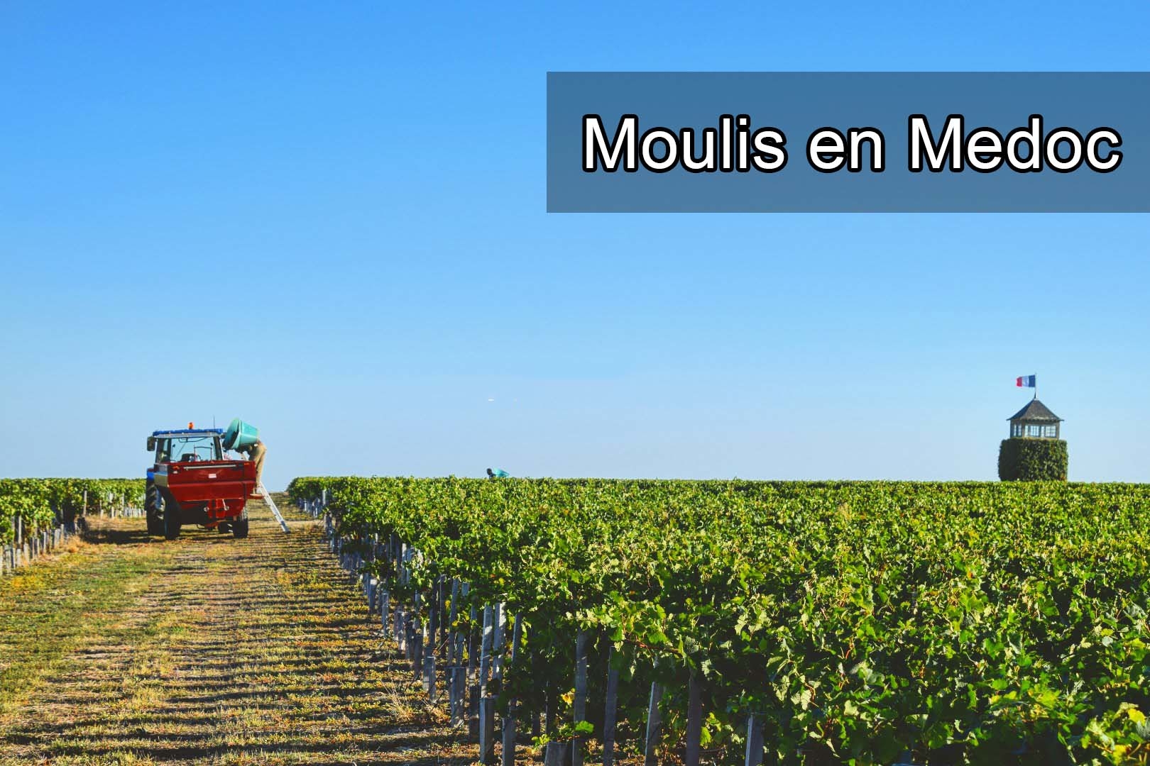 Moulis en Medoc, 穆利斯梅多克
