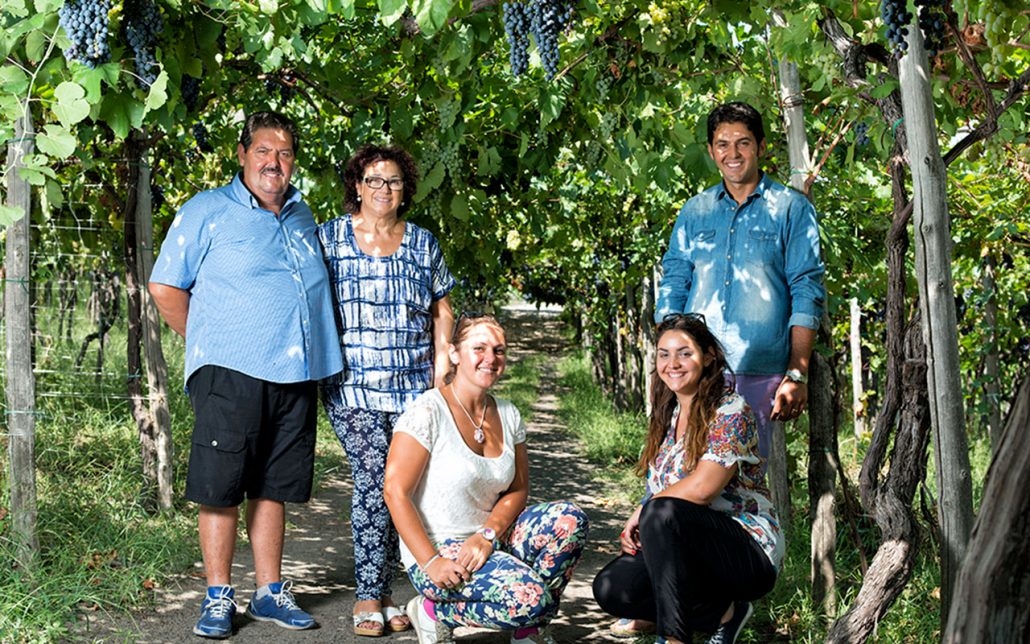 Sorrentino Vesuvio,索倫蒂諾維蘇威酒莊,有機酒莊,火山酒,單一葡萄園,Don Paolo,Aglianico,艾格尼科,Campania,坎帕尼亞產區,Campania紅酒,Wine Time,酒在當下