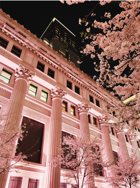 a splendid view of the hotel adorned with pink Sakura