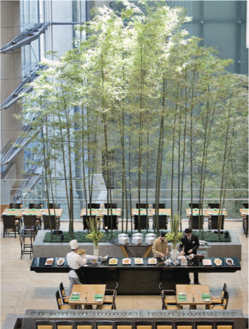 the hotel seeks to create a sense of space and openness where guests can envision themselves being in the woods