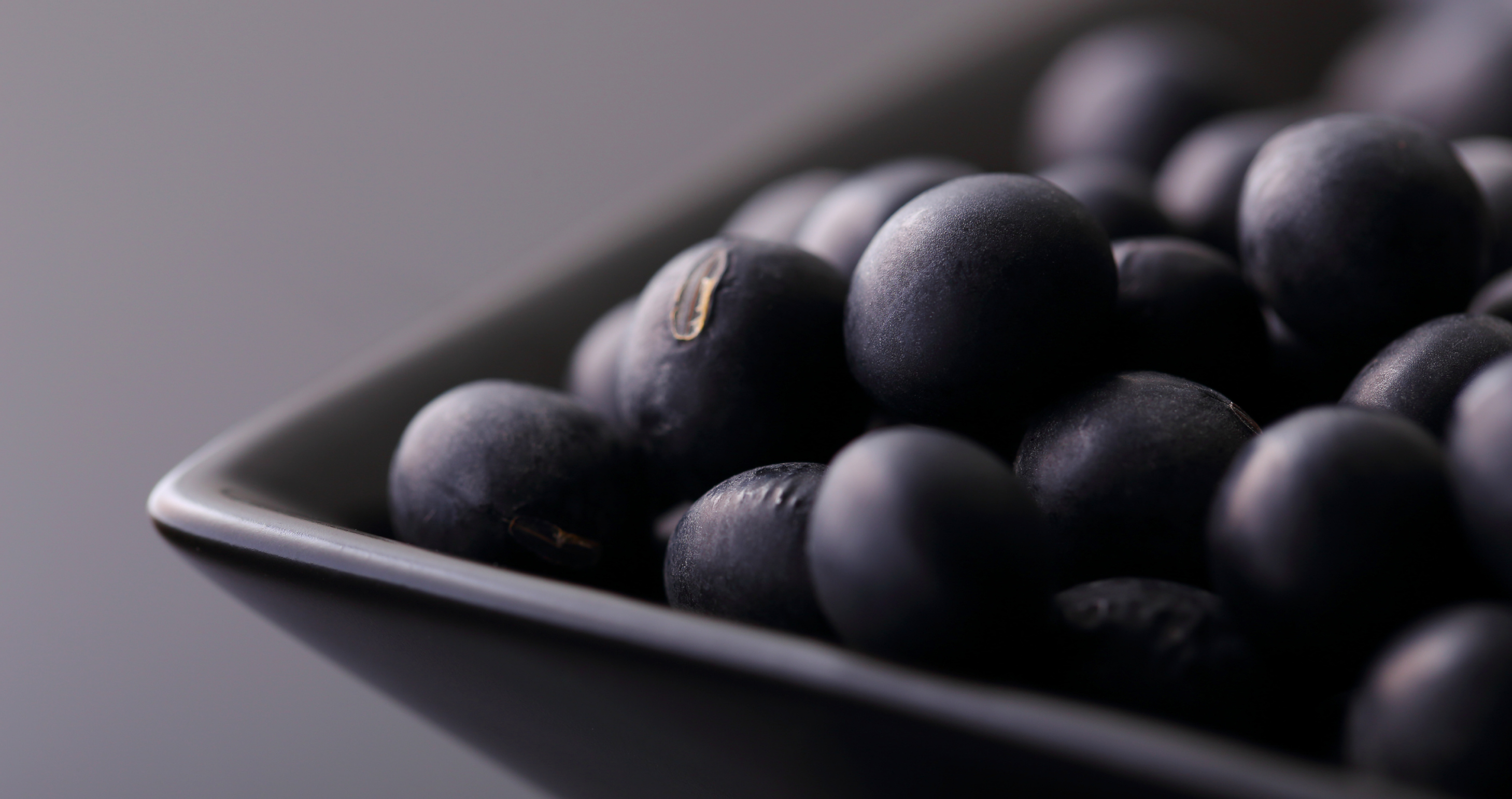 丹波黑大豆, 黑豆, 黑大豆