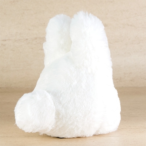 玩偶 好朋友系列 小龍貓 S