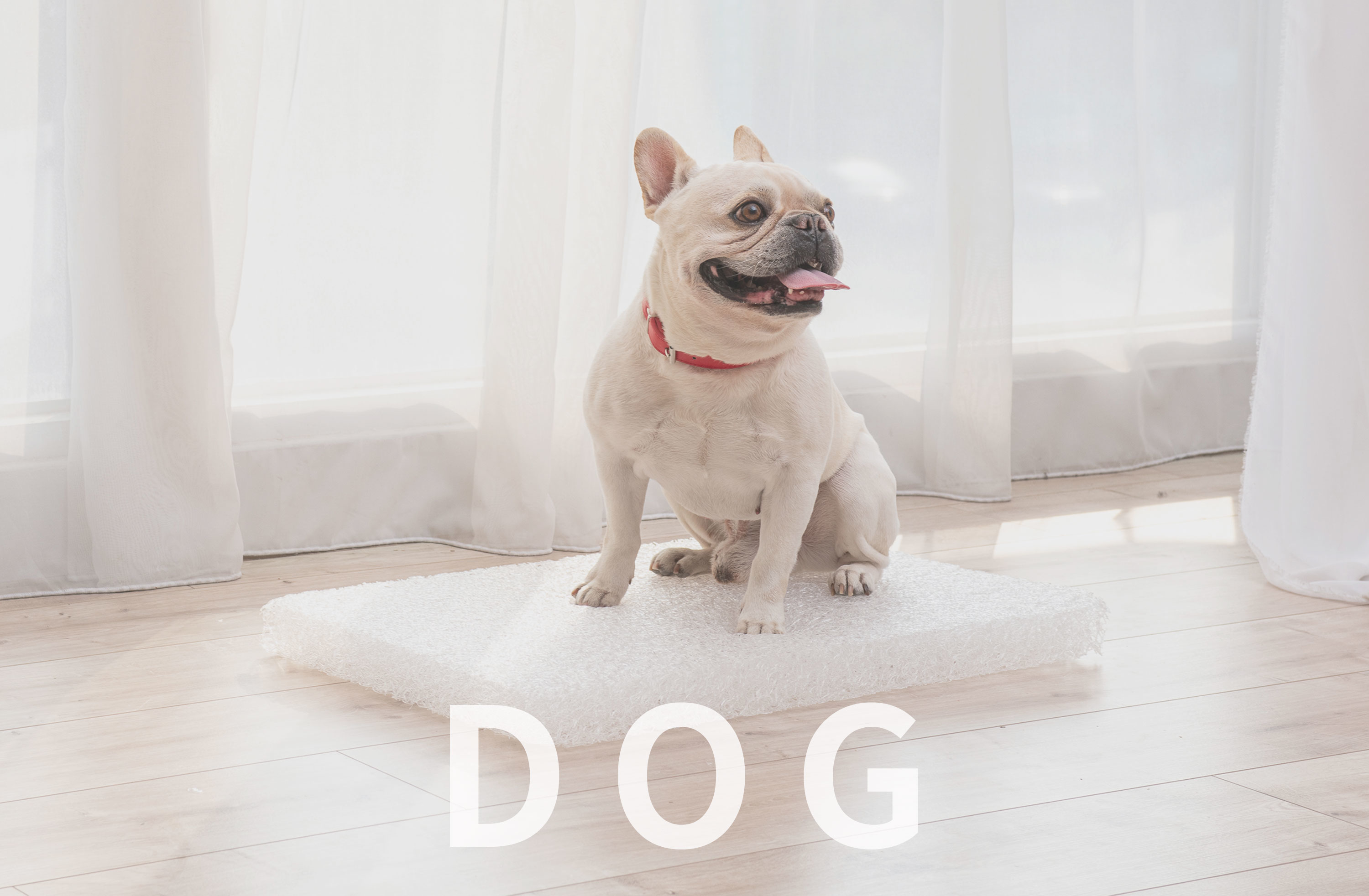 LIFEAPP汪星人－狗狗寵物用品