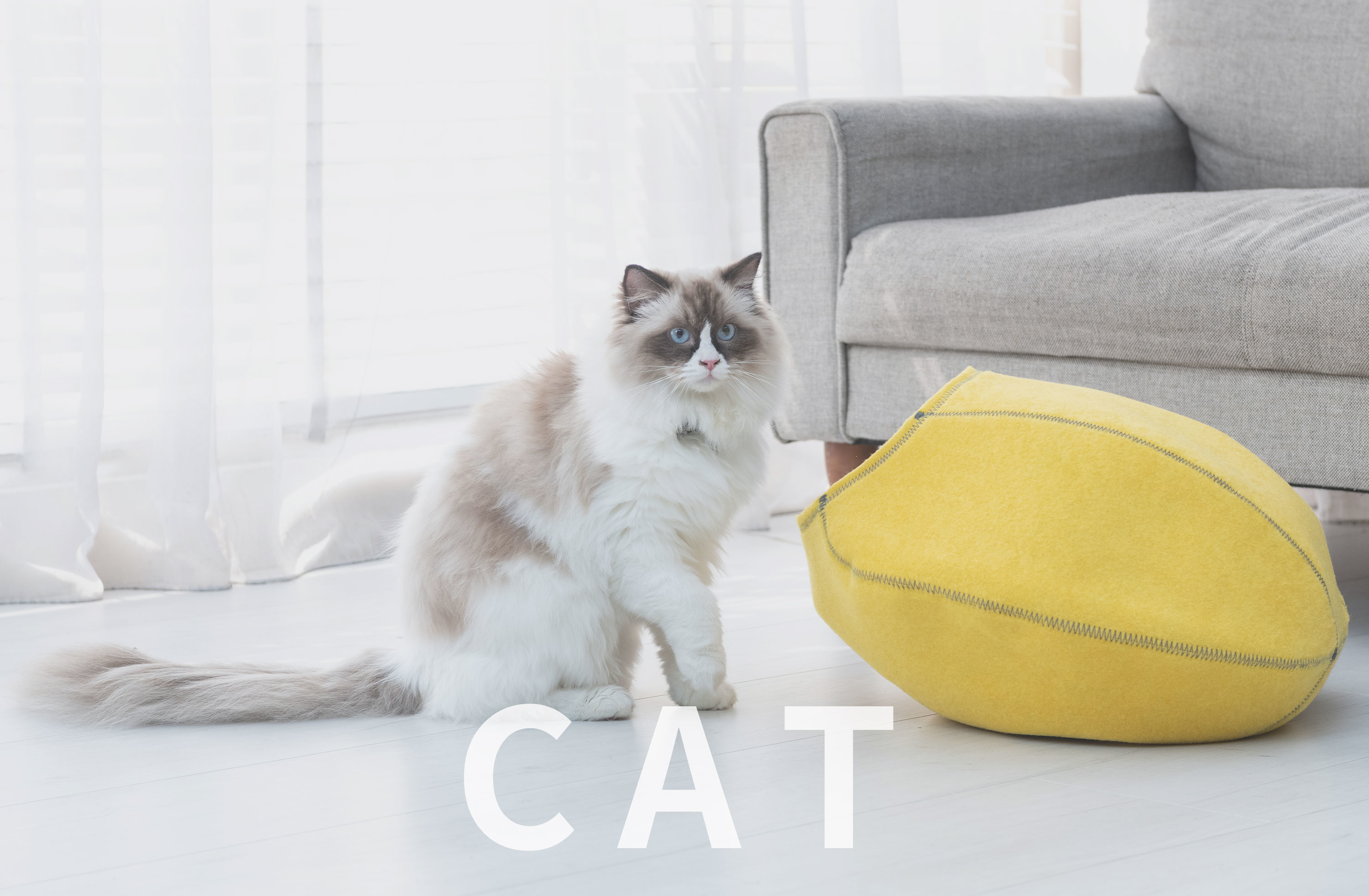 LIFEAPP喵星人-貓寵物用品