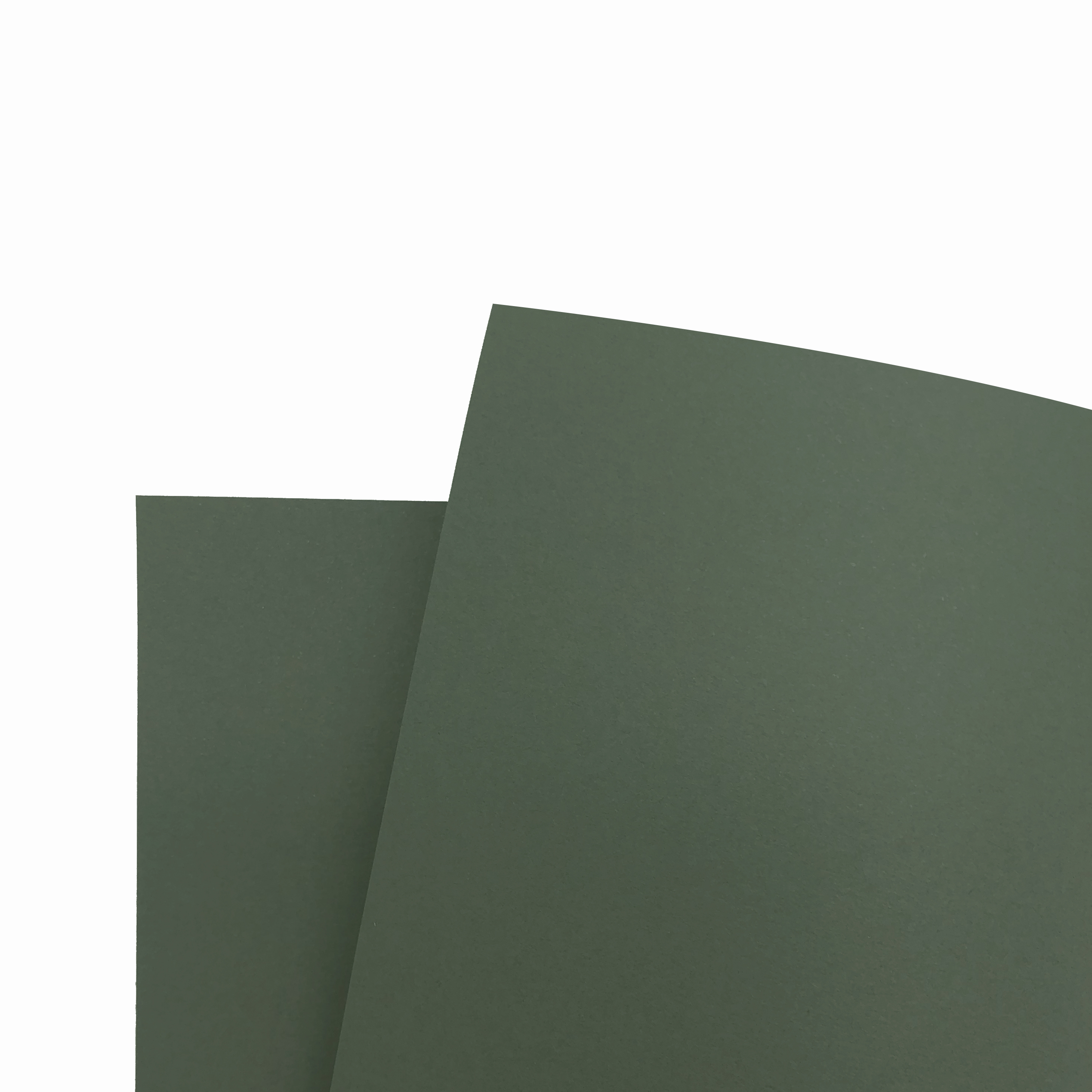 艾力獨家-【300磅】進口百分百 | 杉綠 (A4規格-4入) #T9002