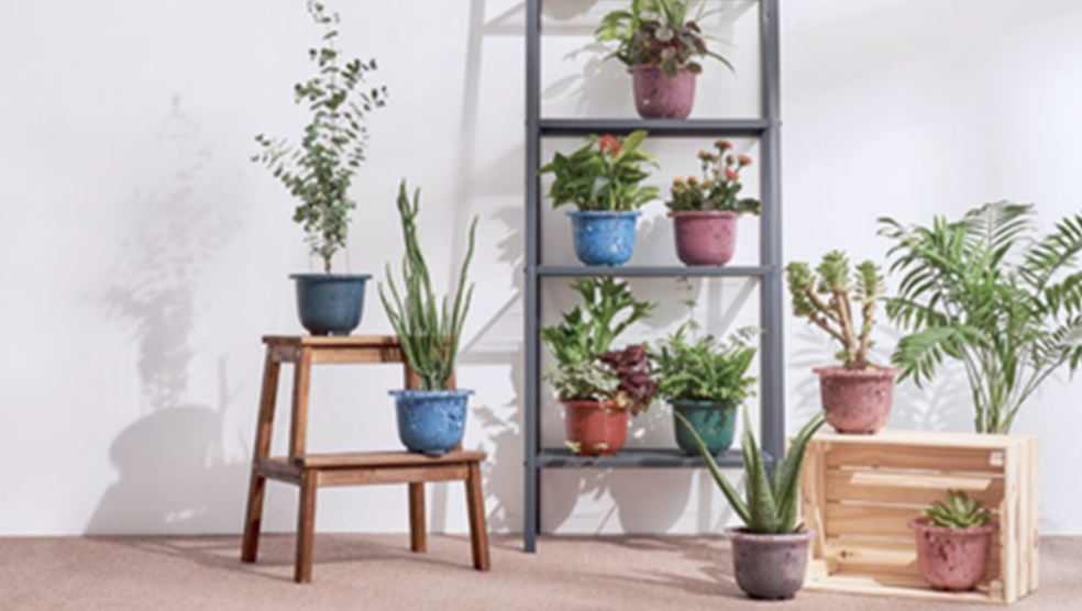 基督日報｜鞋商二代創業 環保鞋印《聖經》經文傳祝福