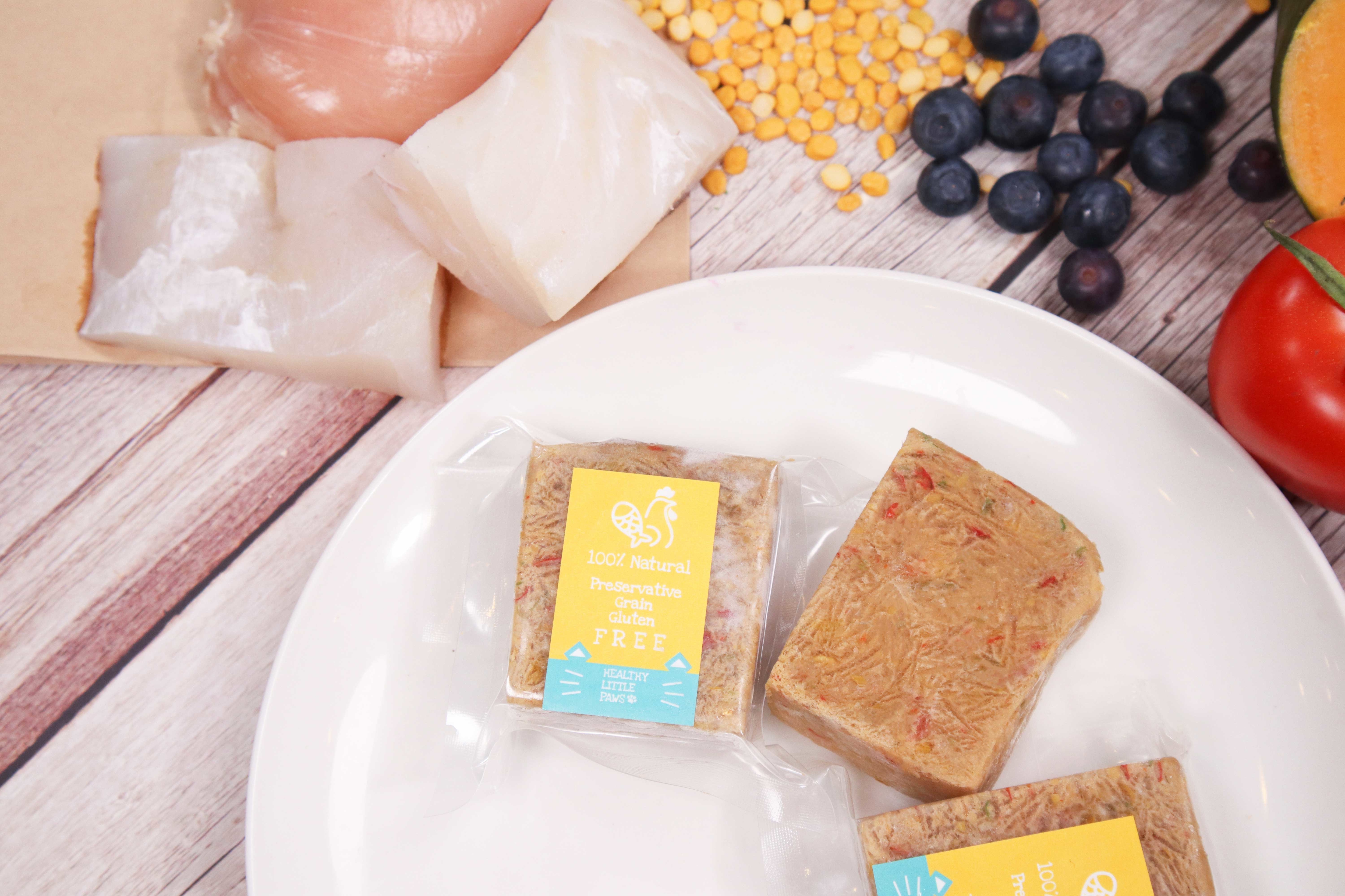 貓貓 - 雞肉&魚肉 / 鮮食磚