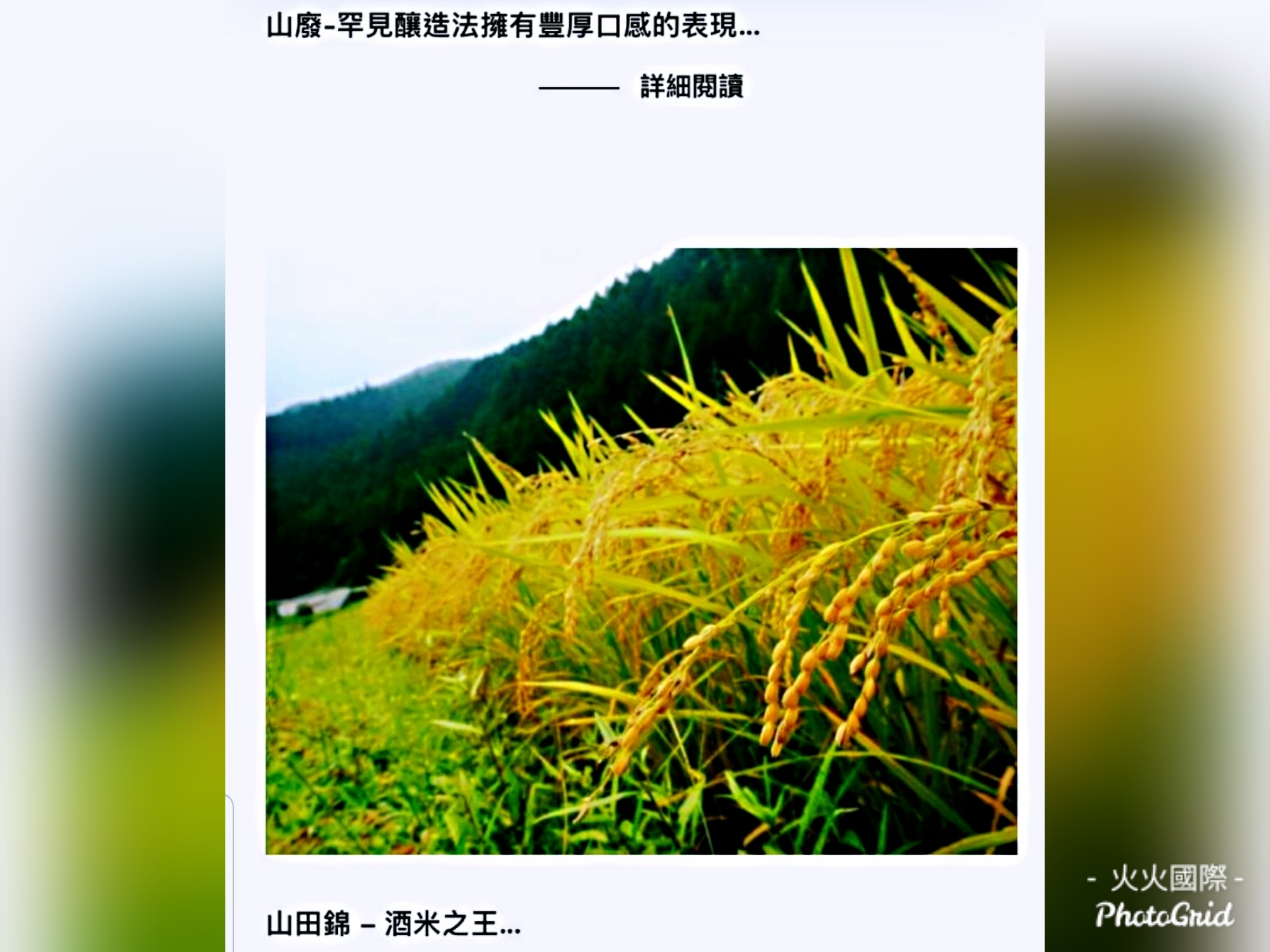 日本袋吊大米吟釀720ml