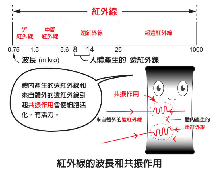 紅外線的波長和共振作用