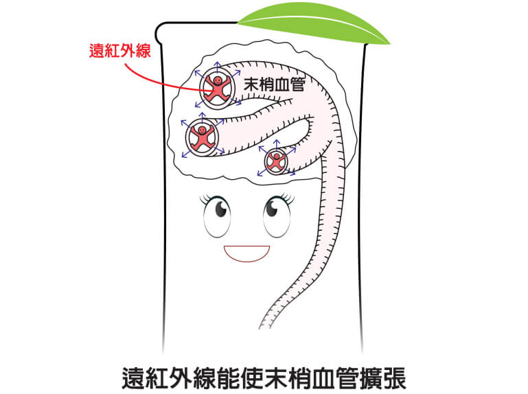 遠紅外線可使末稍血管擴張