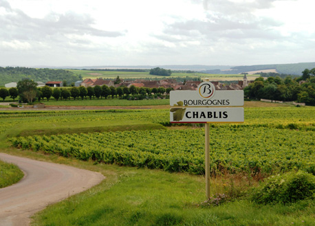 wine time,酒在當下,Chablis,Ellevin,Vaucoupin,Burgundy,勃根地,Chadonnay,France,法國,Ellevin C