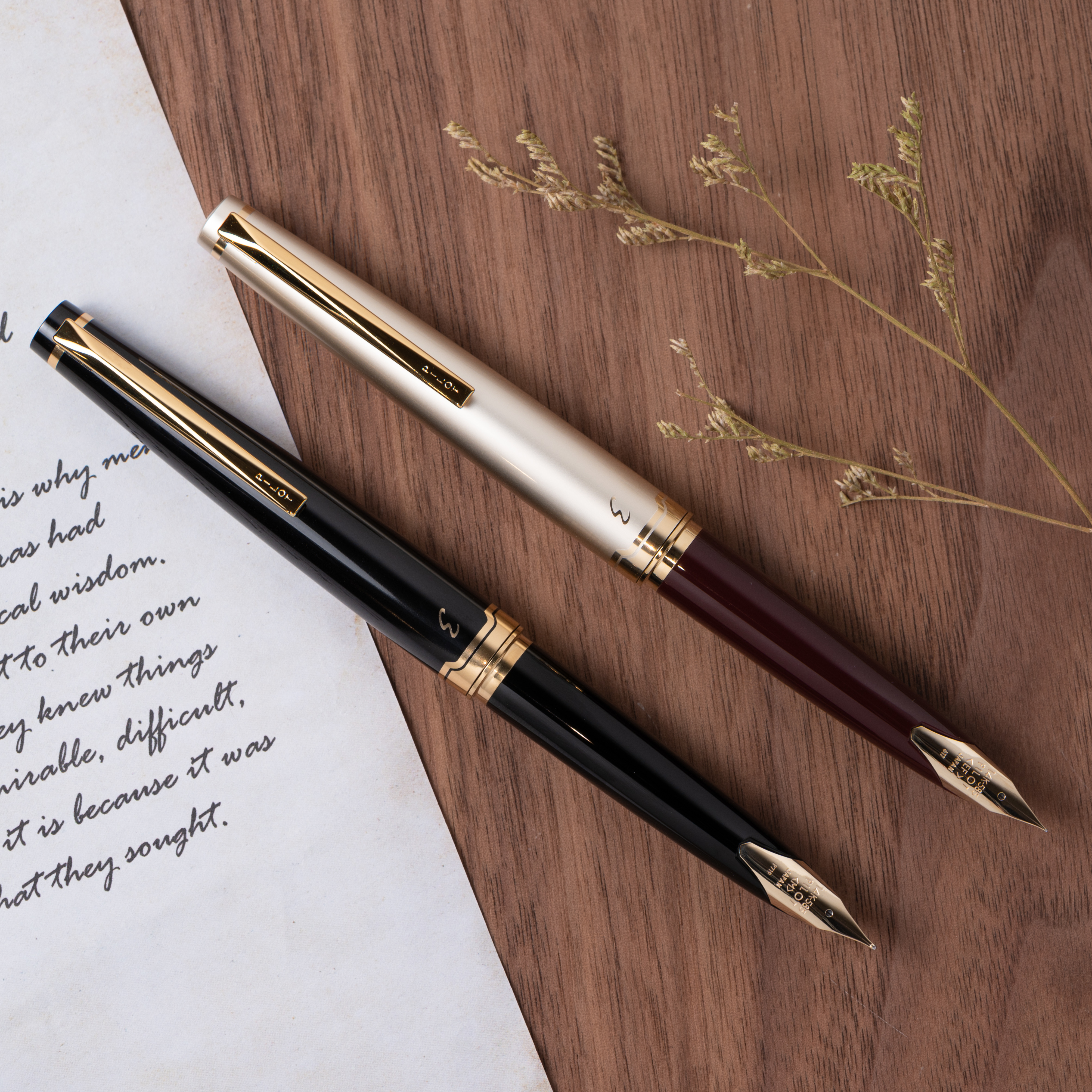 百樂 PILOT｜95 elite 14K金尖鋼筆