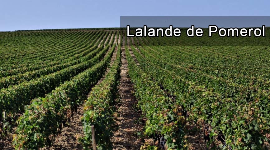 Lalande de Pomerol, Pomerol, Le Plus de La Fleur de Bouard