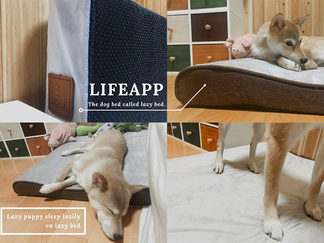 小赤柴胡迪的小日子－舒弧墊