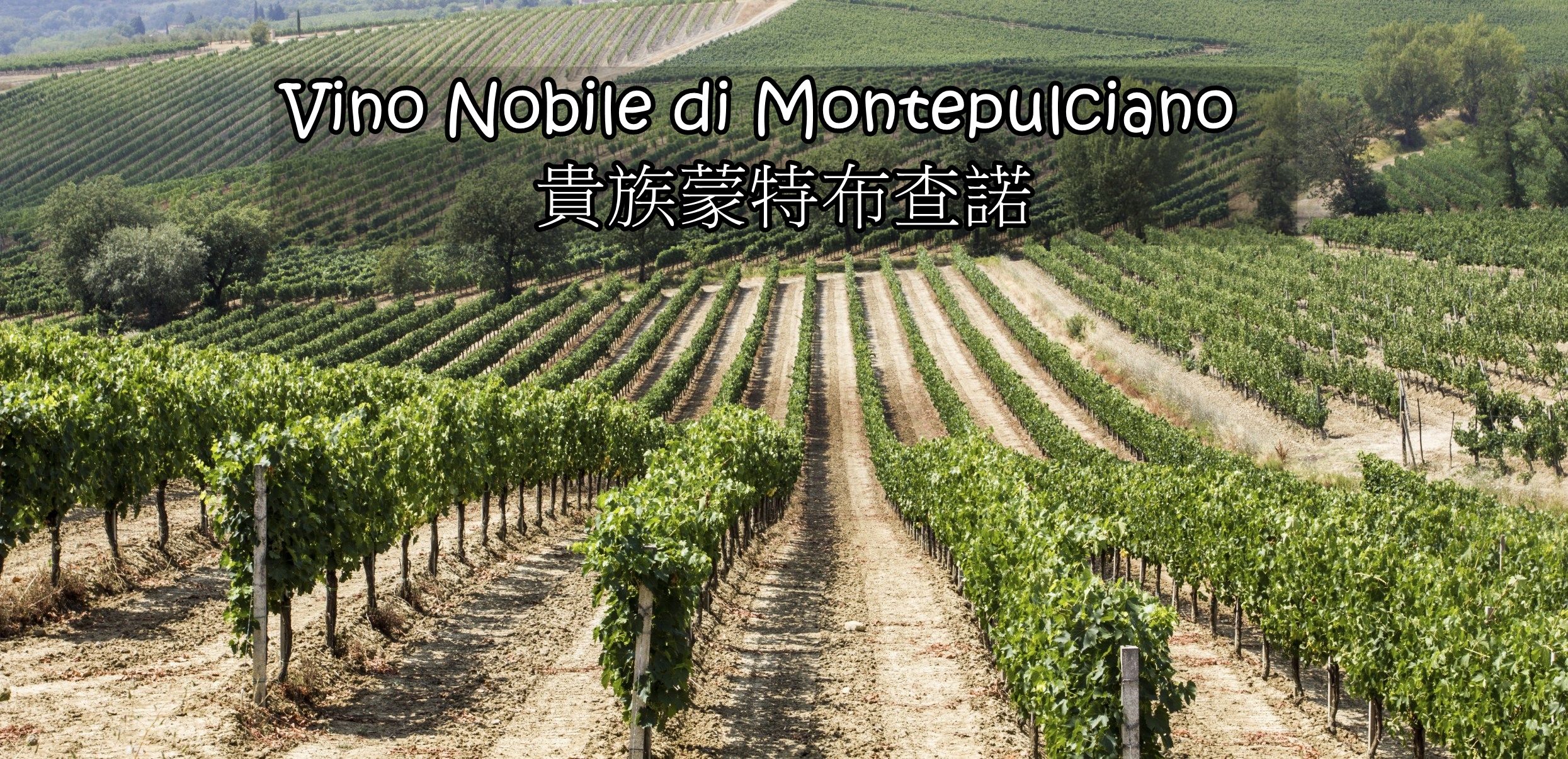 Nobile vino nobile di montepulciano, 貴族蒙特布查諾