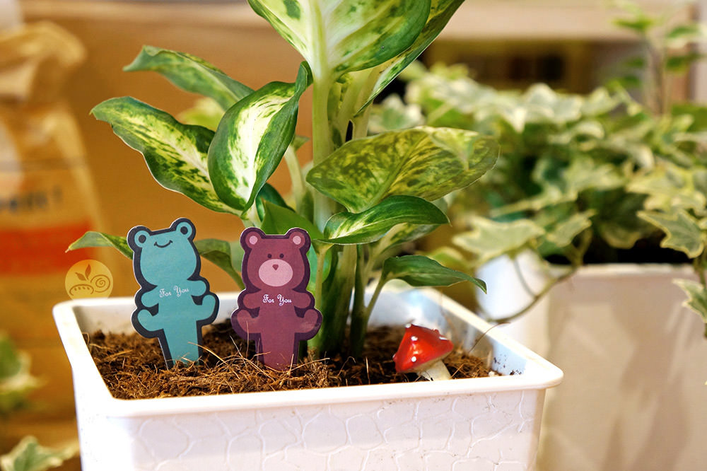 蛋糕插卡 盆裁插卡 可爱插卡 纸插卡 生日插卡