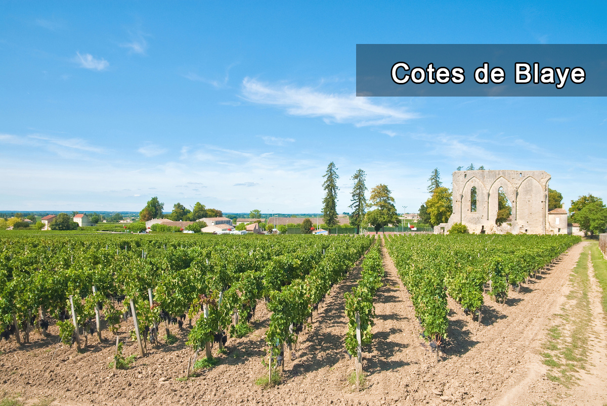 Cotes de Blaye, 布拉伊山坡