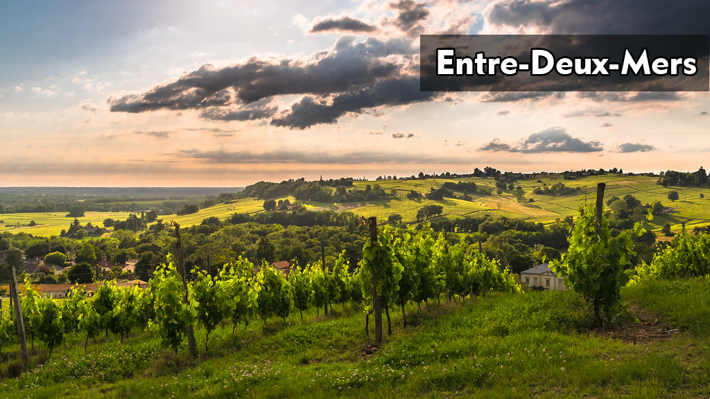 Entre-Deux-Mers|兩海之間|wine couple|醇酒伴侶