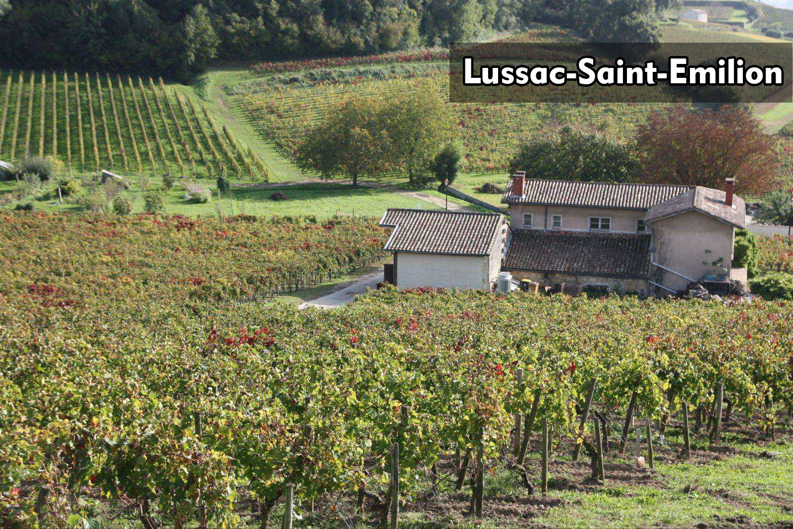 Lussac-Saint-Emilion|呂薩克-聖埃美隆|wine couple|醇酒伴侶