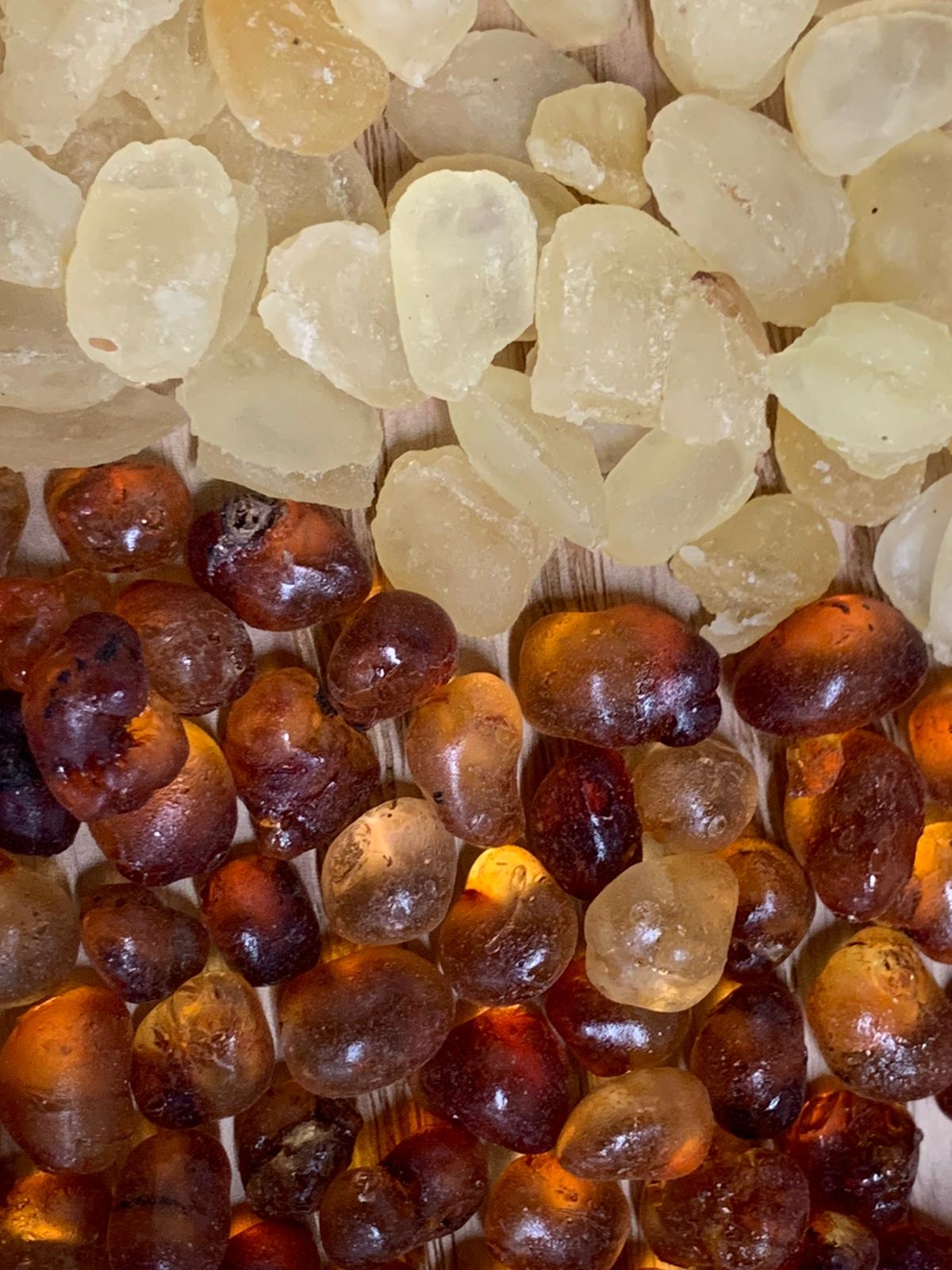 雪 蓮 子 1 包(100克) + 桃 膠 1 包(100克)