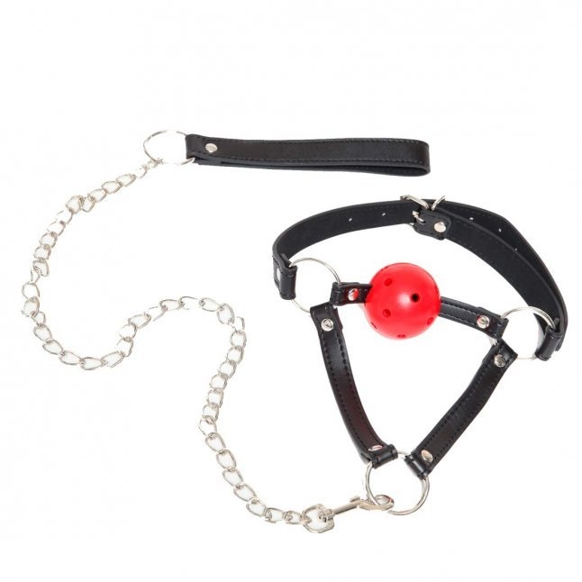 〔日本原裝進口〕 A-ONE．SM 《調教》狗帶款 口枷連頸帶