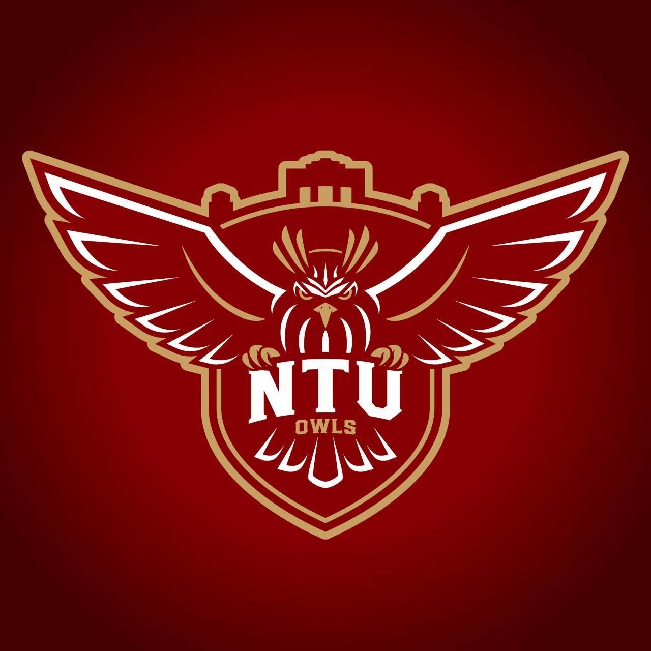 台大男籃,台灣大學,大學籃球隊