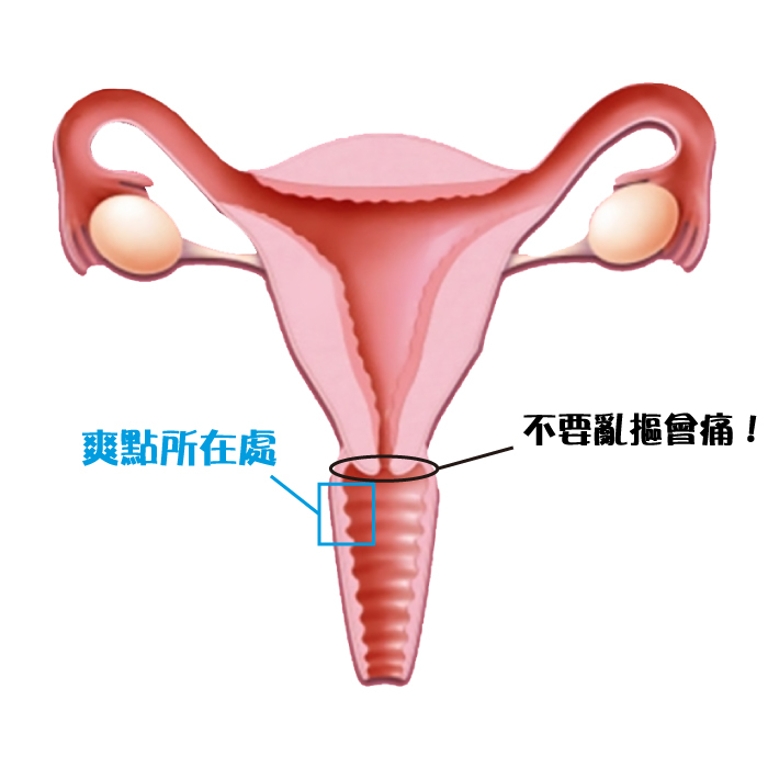情趣用品 dr情趣 性愛 性高潮 高潮 性冷感 潮吹 女人高潮 g點 電動按摩棒 按摩棒 乳腺高潮 前戲