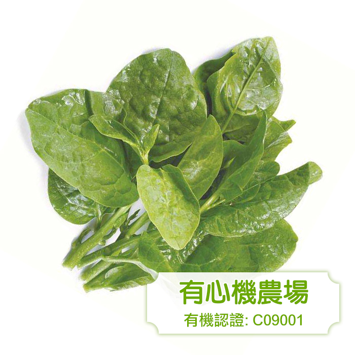 [有心機] Organic Ceylon Spinach 有機潺菜 1磅 (453g)