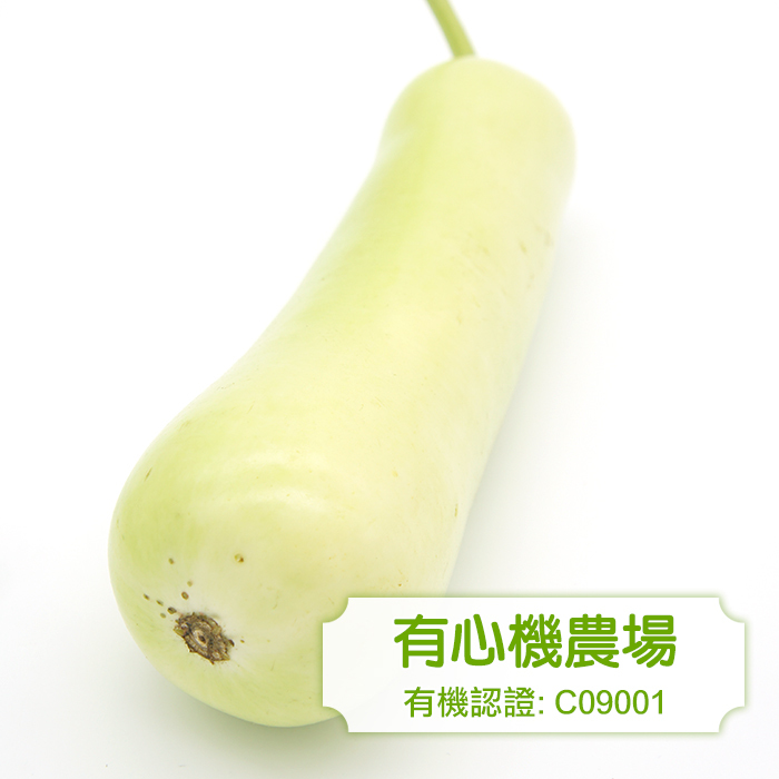 [有心機] Organic Bottle Gourd 有機蒲瓜 1磅 (500g)
