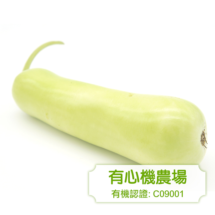 [有心機] Organic Bottle Gourd 有機蒲瓜 1磅 (500g)