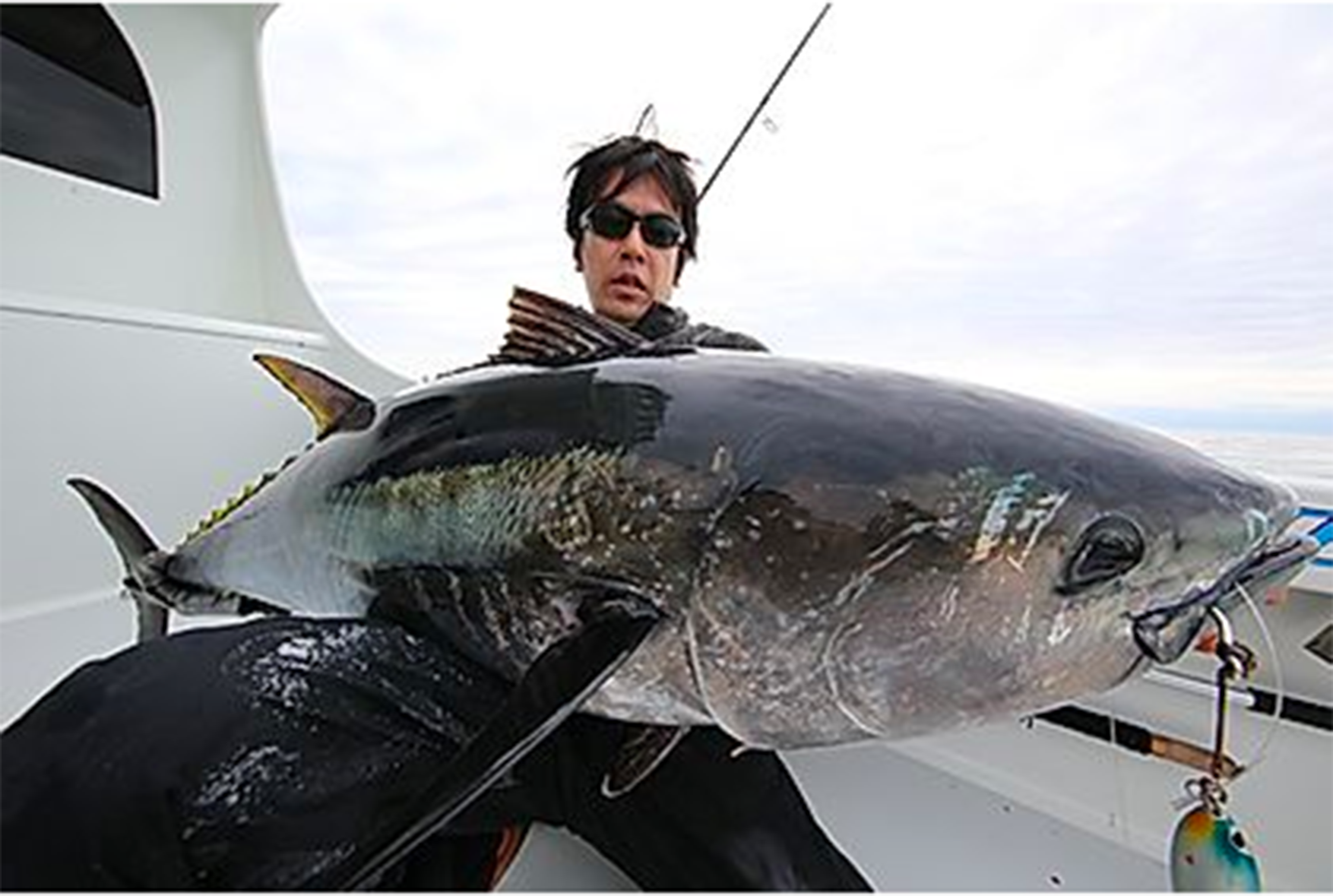 CB ONE VFR STAND UP TUNA