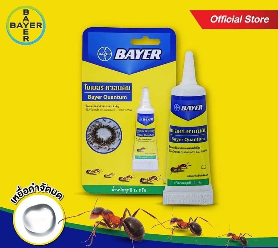 泰國 Bayer Quantum 滅蟻神器
